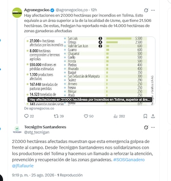 Tecnig@n Santanderes lamentó afectaciones en Tolima por incendios - crédito @stg_tecnigan/X