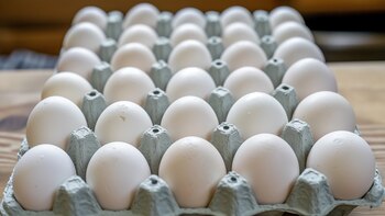 Cuál es la marca de