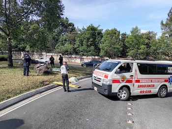 Conductores y residentes del sector alertaron a los cuerpos de socorro tras detectar los cadáveres en el arriate central del bulevar.