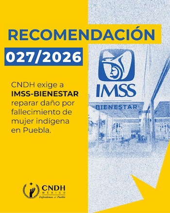 El organismo nacional concluyó que la víctima, indígena y residente de una zona rural, no tuvo acceso a servicios de salud con capacidad resolutiva cerca de su domicilio.