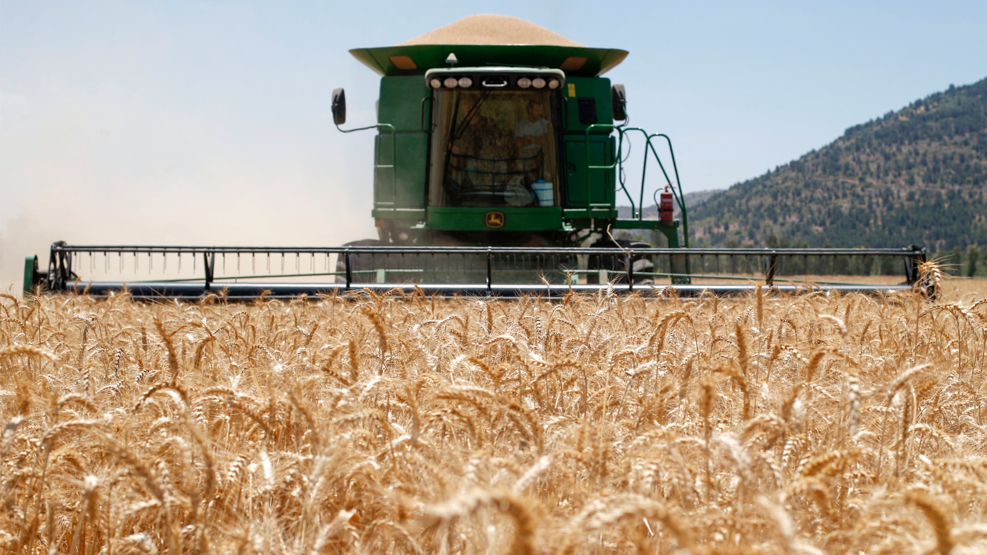 La región produce una parte sustancial de los alimentos que consume el planeta y es líder en exportaciones de numerosos productos agrícolas (Foto: AFP)