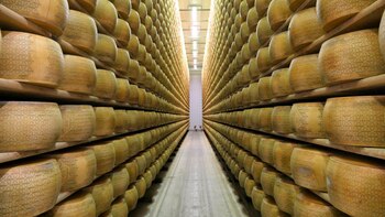 Ruedas de Grana Padano apiladas