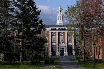 Harvard presentó una demanda ante la Justicia en contra de las medidas de Trump (REUTERS)