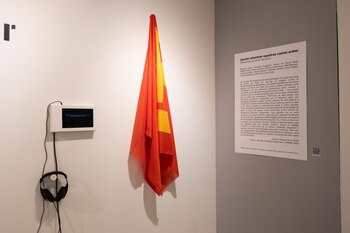 Imagen 7HX24DLGXBCFXI4C7XCZGSHUNQ