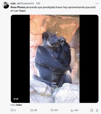 Peso Pluma y El Canelo