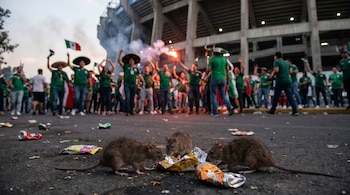 Primer plano de tres ratones comiendo entre basura. Detrás, aficionados mexicanos celebran con banderas y bengalas afuera de un estadio.