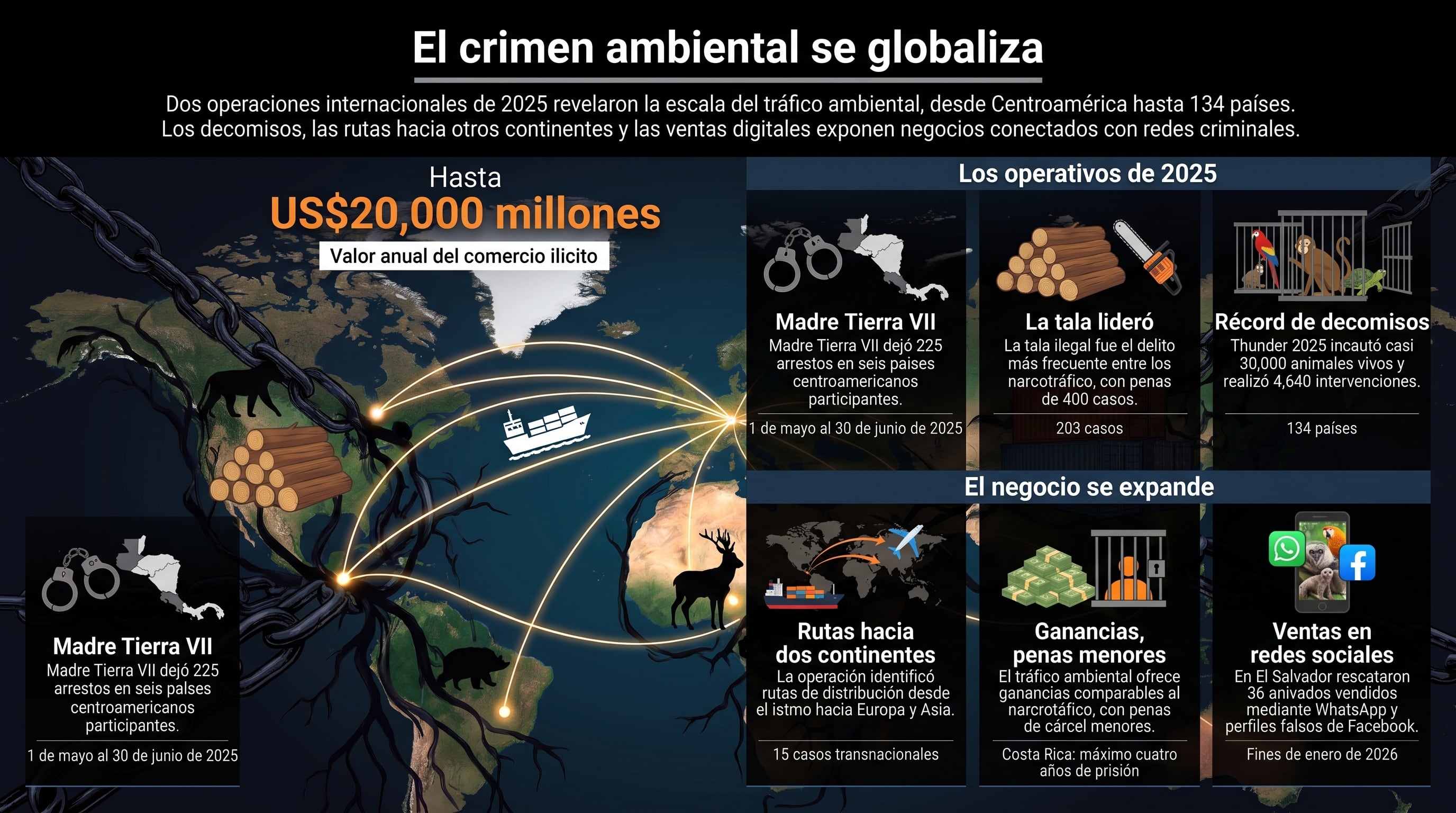 Dos operaciones internacionales de 2025 señalan que el tráfico ambiental desde Centroamérica genera hasta 20.000 millones de dólares anuales. (Imagen Ilustrativa Infobae)