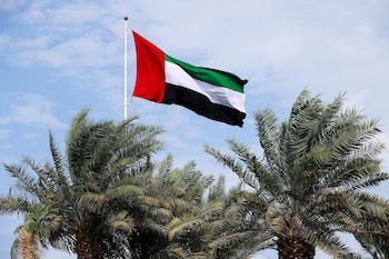 Emiratos Árabes Unidos busca abrir el estrecho de Ormuz por la fuerza y considera sumarse a la ofensiva contra Irán