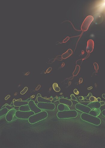 Imagen 7IJ5GNYGLRGFXJRWQWUSI6X2N4