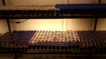 “Vamos a hacer el estudio