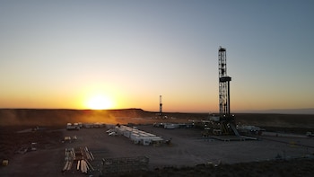 Los ingresos totales de Vista