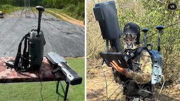 El ejemplar que fue incautado