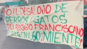 Trabajadores de refugio de mascotas