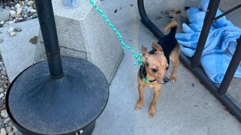 Los rescatistas esperan que la