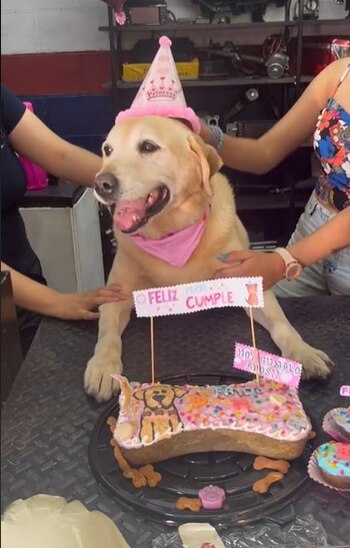 La pequeña Frida no le