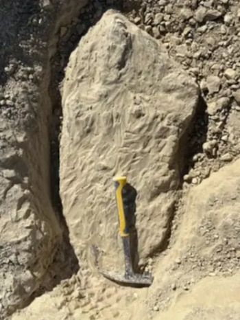 Primer plano de una gran formación rocosa o fósil de color tierra claro, parcialmente excavada, con un martillo de geólogo de mango amarillo y negro en su base