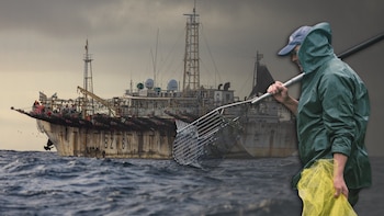 Los pescadores españoles echan el ancla ante la guerra de Irán: “Perdemos más dinero saliendo a pescar que quedándonos en puerto”