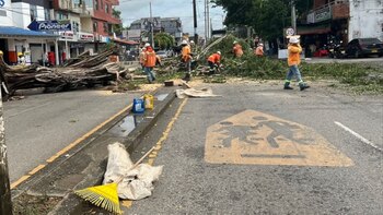 Vendaval en Caucasia (Antioquia) dejo