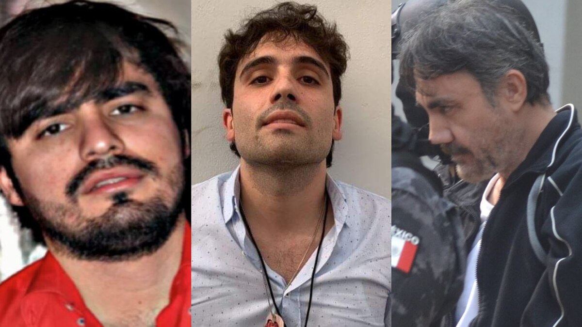 Así fue como Luis Chaparro pactó entrevista con 'El Mini Lic' y rechazó oferta de 'Los Chapitos' para “entregarlo” - Infobae