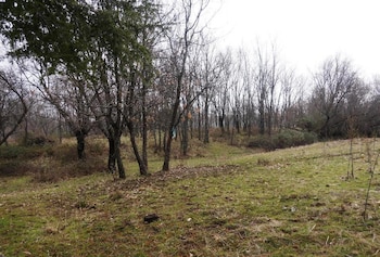 Una de las parcelas de Becerril donde se quieren construir las viviendas