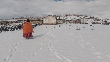 Alrededor de 40 familias afectadas