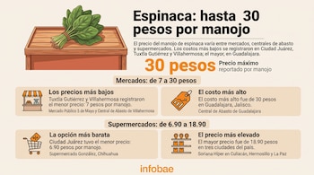 Infografía con un manojo de espinaca en una caja de madera, textos con cifras de precios, cuatro recuadros con iconos y el logotipo de Infobae.