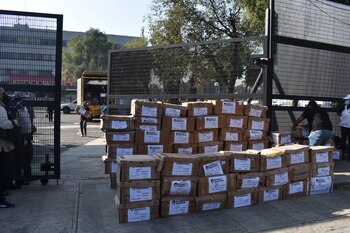 INE informó que hay un