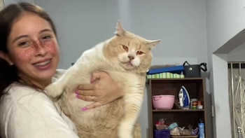 El contenido causó furor, acumulando