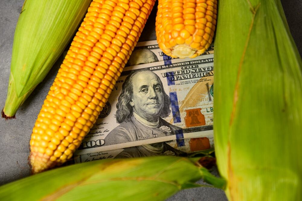 Entre agosto y septiembre se exportaron 7,63 millones de toneladas de maíz argentino, el valor más alto para esos meses en los últimos años