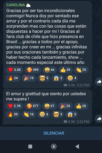 La colombiana agradeció a sus millones de seguidores el apoyo durante cada una de sus presentaciones - crédito Canal WhatsApp Karol G