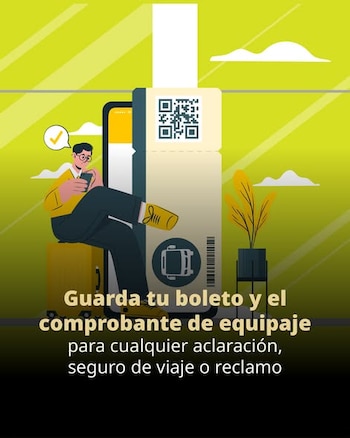 Ilustración de una persona sentada en una maleta amarilla que usa un teléfono, un boleto digital con código QR y un comprobante de equipaje, con una planta en maceta