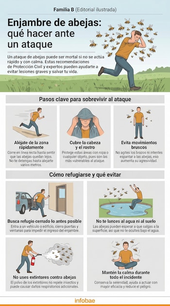 Infografía que ilustra cómo reaccionar ante un ataque de abejas, mostrando a una persona corriendo, cubriéndose, buscando refugio y manteniendo la calma.