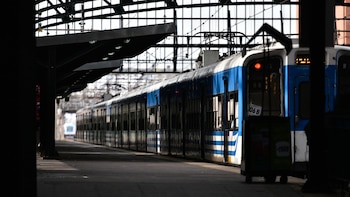 La sentencia responsabilizó solidariamente a