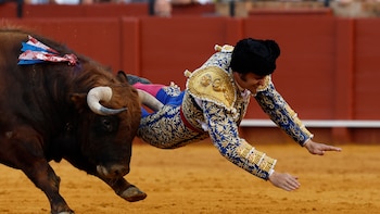 PACMA reacciona a las cornadas de Roca Rey y Morante de la Puebla: “La verdadera víctima sigue siendo el toro”