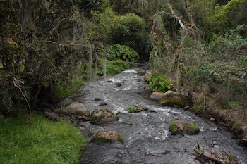 El decreto reconoce los usos colectivos y comunitarios del agua, con el propósito de beneficiar principalmente a las familias campesinas y a los productores agropecuarios - crédito Ministerio de Ambiente