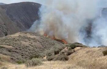 Las autoridades de California informan que los cuatro incendios forestales principales están cerca de ser controlados tras devastar más de 9.000 hectáreas en el sur del estado