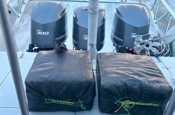 Las pruebas presuntivas realizadas por la Policía de Control de Drogas determinaron que el cargamento correspondía a 71 kilos de clorhidrato de cocaína. Crédito: Presidencia de la República