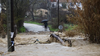 Los destrozos que ha dejado