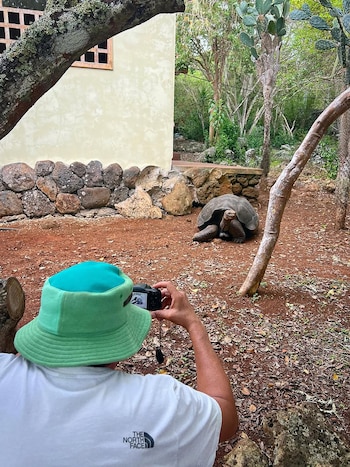 También pudieron retratar a las