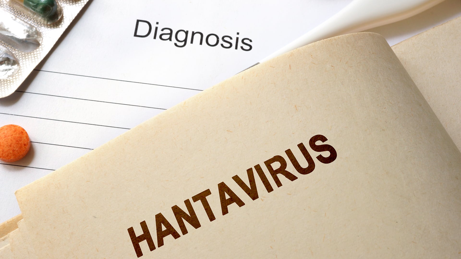 La vigilancia del BEN permite identificar zonas calientes del hantavirus y anticipar picos asociados con variaciones en poblaciones de roedores