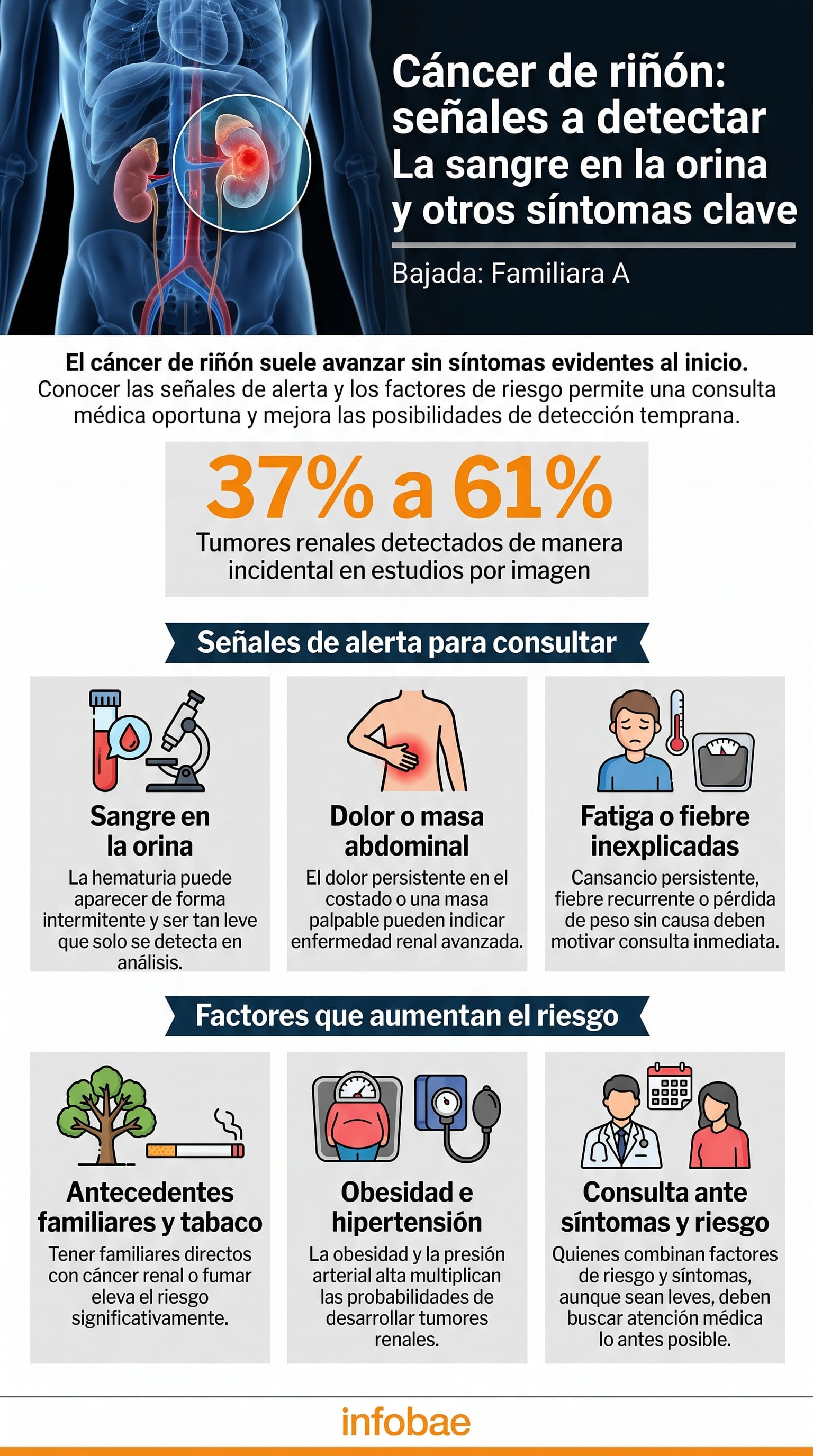 El hallazgo incidental del cáncer de riñón en ecografías o tomografías suele asociarse a un mejor pronóstico por el tratamiento en fases más tempranas - (Imagen Ilustrativa Infobae)