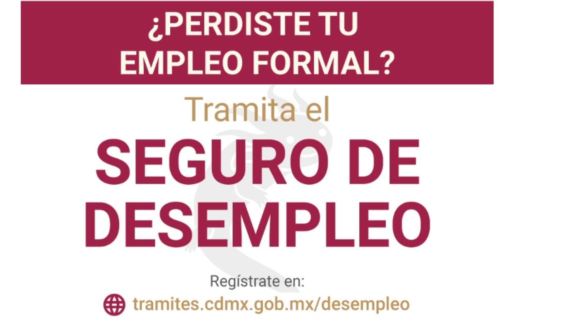 Ofrece un apoyo económico de hasta 10 mil pesos a personas que perdieron su empleo formal sin justificación