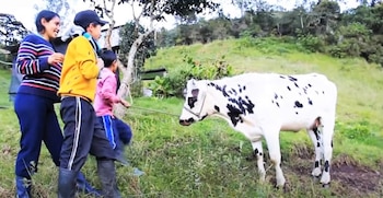 Gracias a las ganancias producto