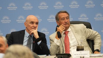 Suspensión de las PASO: el