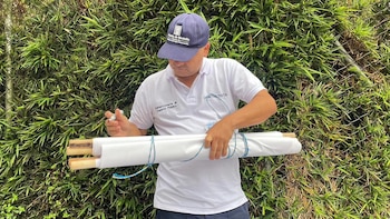 Alcaldía de Medellín retiró propaganda