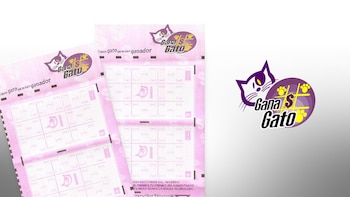 En el sorteo de hoy, Gana Gato entregó $420,023.31 pesos en premios (Infobae/Jovani Pérez)