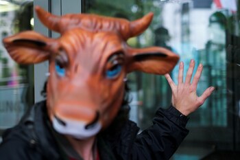 El grupo de activistas veganos