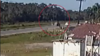 Dos colombianos fallecieron en aparatoso accidente de tránsito en Brasil: esto se sabe