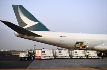 (Twitter: @HLGatell)