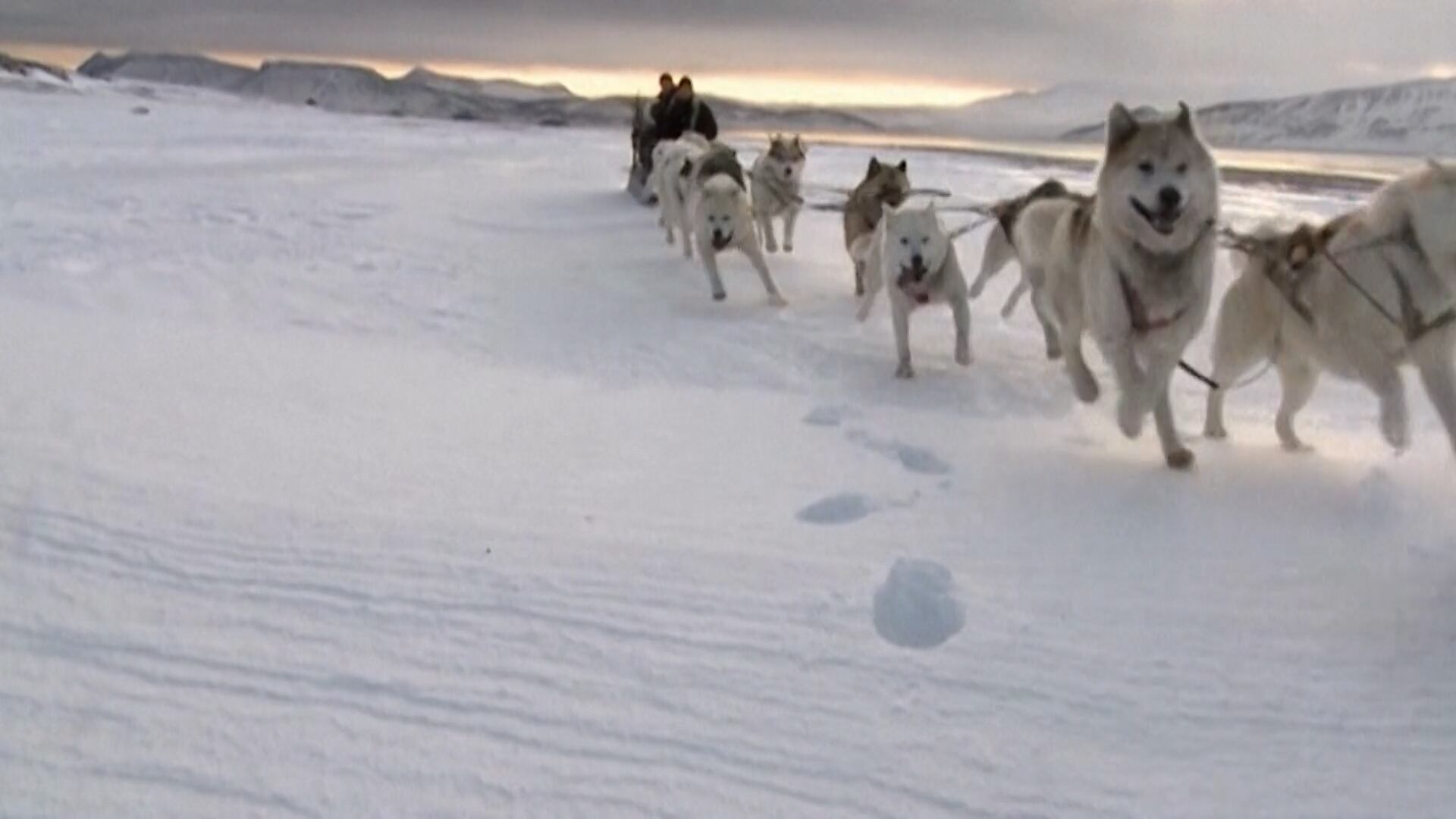 Perros de la unidad Sirius en el este de Groenlandia. Los animales son esenciales para la supervivencia en un territorio sin contacto humano. (AFP)